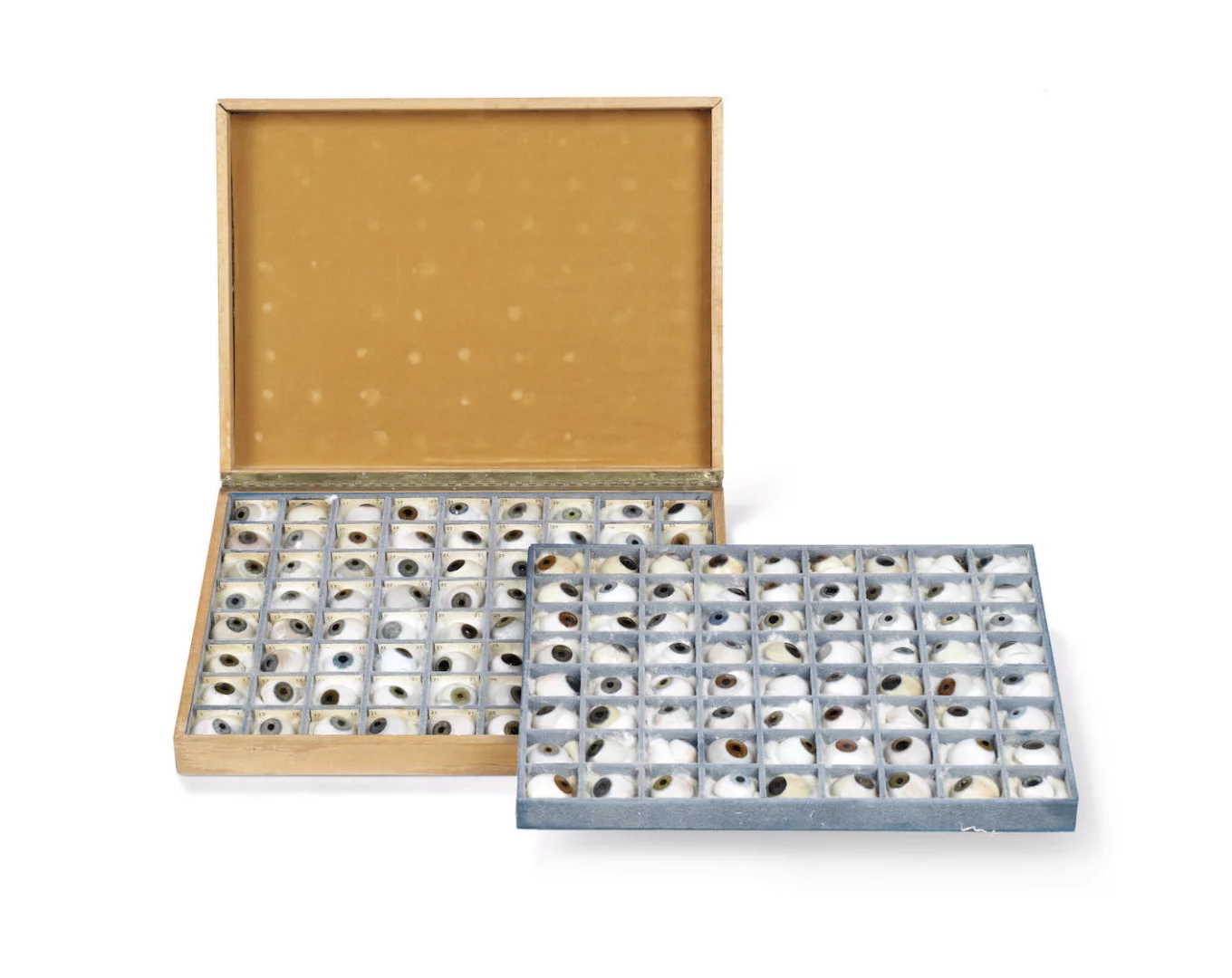 A collection of ocular prosthesis from late 19th century England. The glass eyes are expected to sell for at least US$3,674