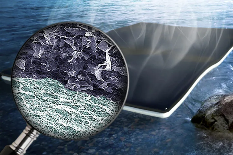 A new system of bi-layered biofoam may provide the means to purify vast bodies of water simply by overlaying them with sheets of this new material