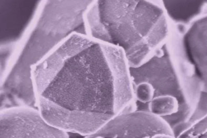 A team of scientists has shown that carbon nanotubes can be broken down by an enzyme found in white blood cells