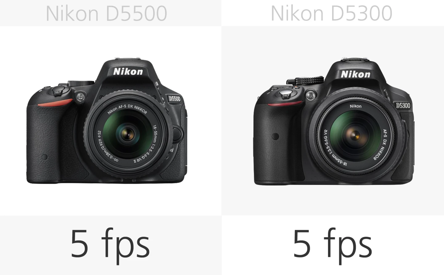 Nikon D5500 vs. Nikon D5300 burst rate comparison