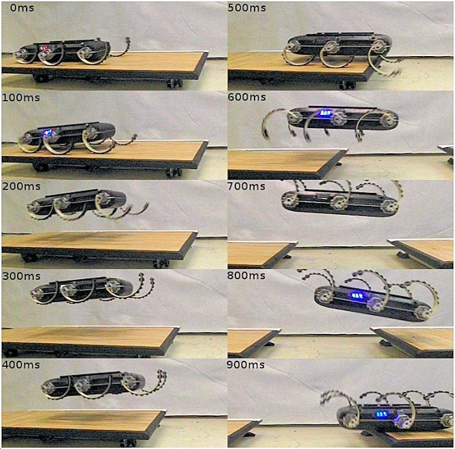 The UPenn XRL robot takes a running start to leap over a 60 cm (24 in) gap (Photo: UPenn)