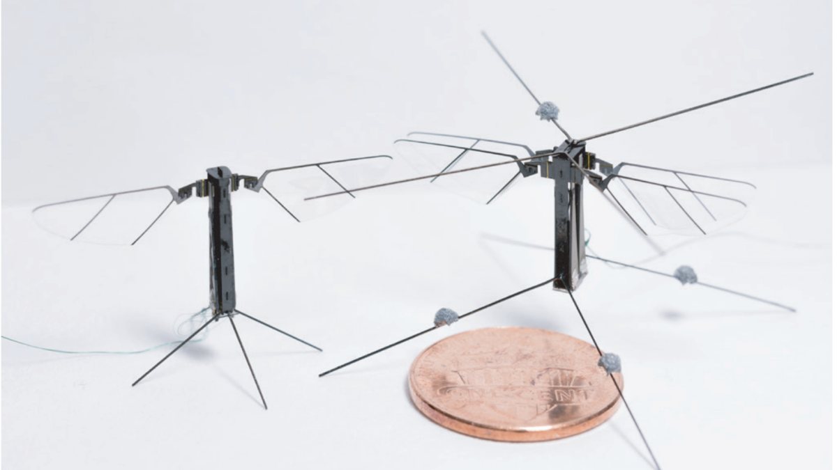 The four-winged Bee+ (on right) next to a two-winged model