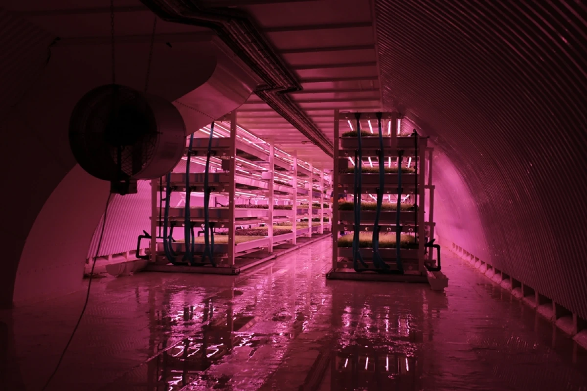 Growing Underground aims to produce fresh produce with zero effect on the environment