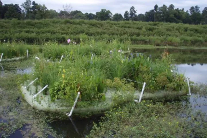 One of the BioHaven Floating Islands, from a previous project (Photo: Floating Island Southeast)