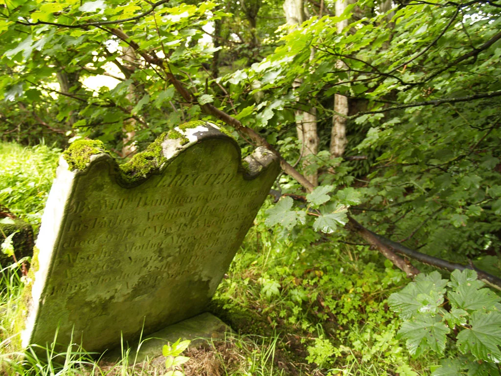 New, green alternatives to cremation and burial are on the way (Photo: Noel McKeegan)