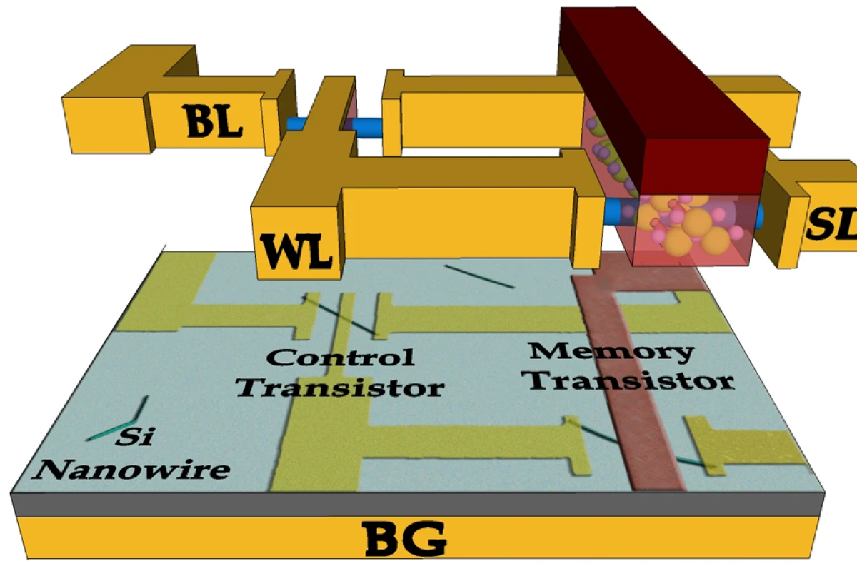Layout of FeTRAM, which combines silicon nanowires with a "ferroelectric" polymer to create a new type of ferroelectric transistor (Image: Birck Nanotechnology Center, Purdue University)