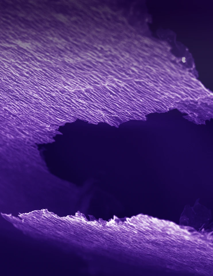 MXene under an electron microscope (Photo: Drexel University)