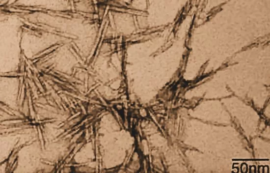 Micrographs of randomly oriented CNCs