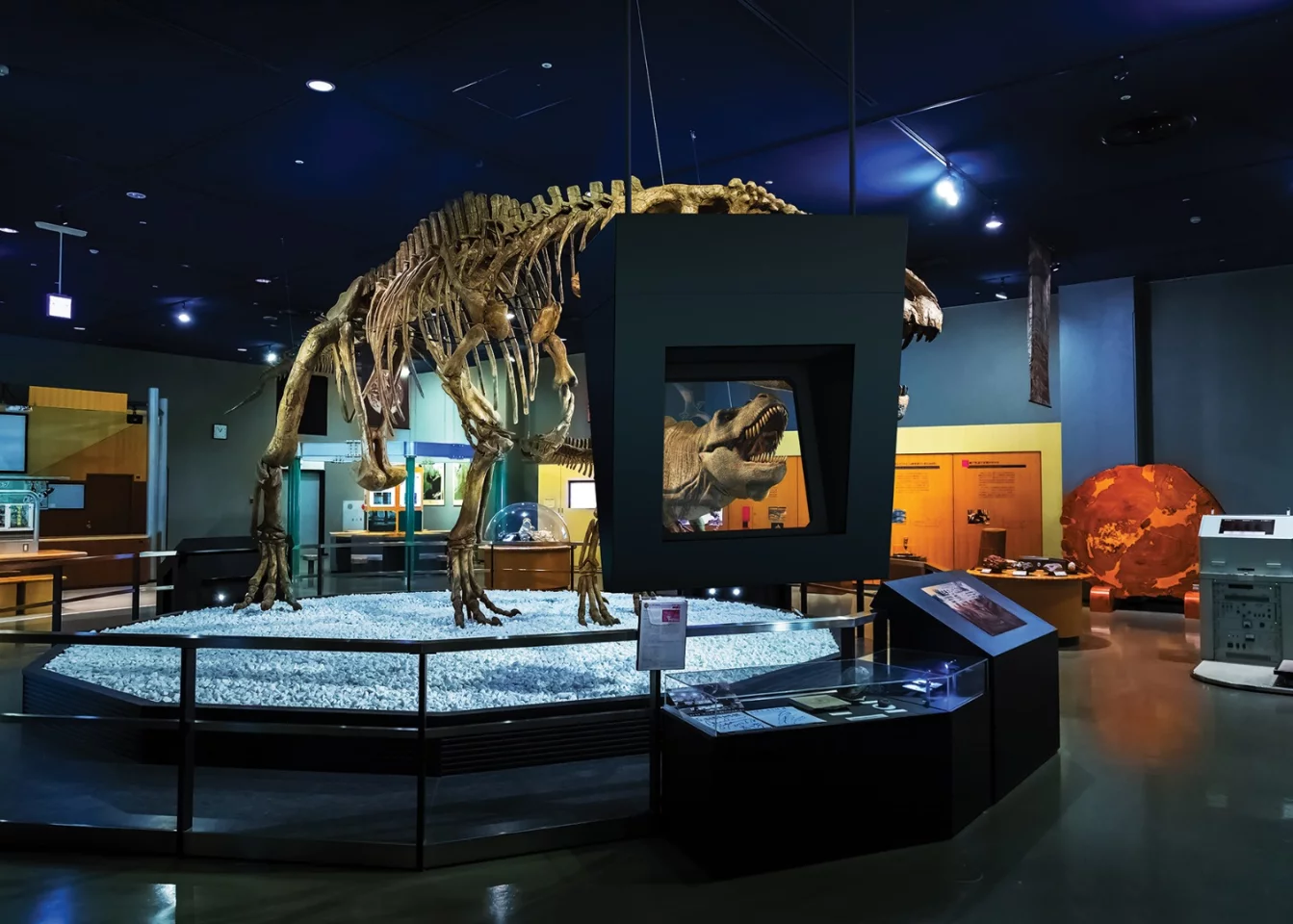 This dinosaur can come to life – as long as you peer at it through a DeepFrame viewer