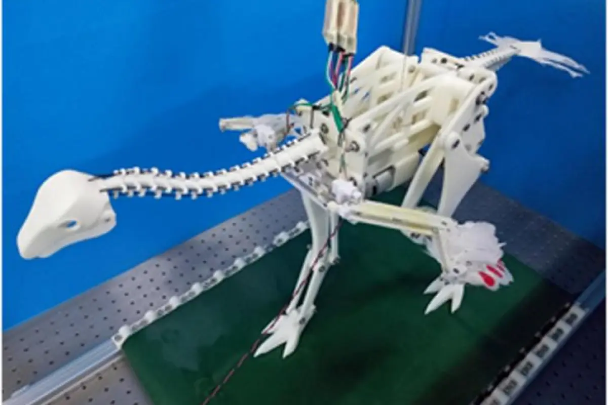 A robotic Caudipteryx demonstrates how a running motion may have caused the proto-wings to flap, eventually leading to the evolution of active flight