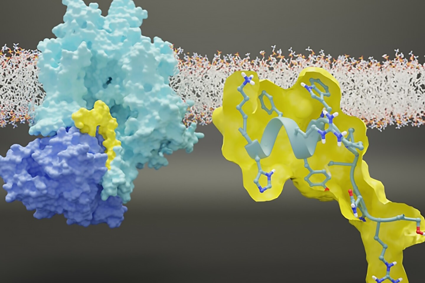 Researchers used gene therapy to reverse pain in mice