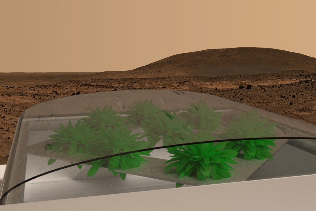 The Southampton #LettuceOnMars experiment