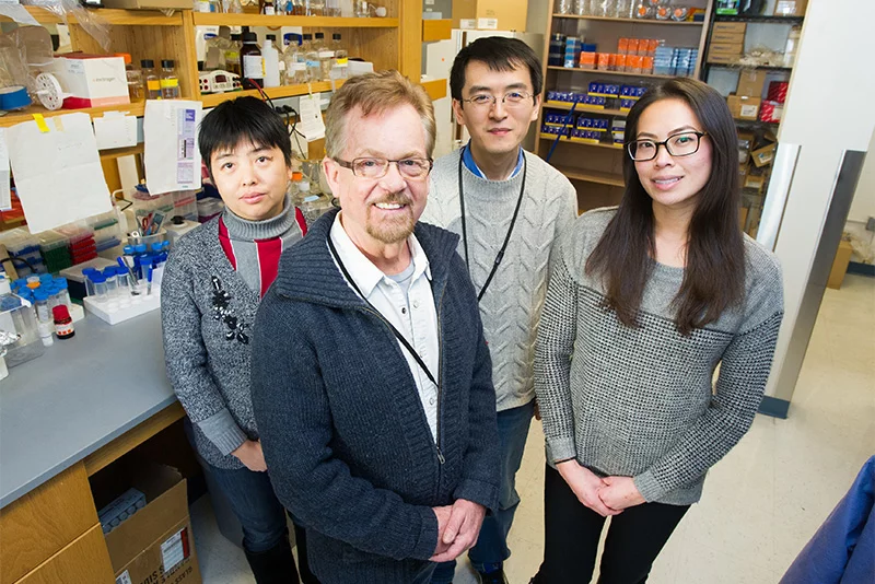 The Boston University researchers, Hong Wang, Stephen Farmer, Libin Liu and Jean Lin