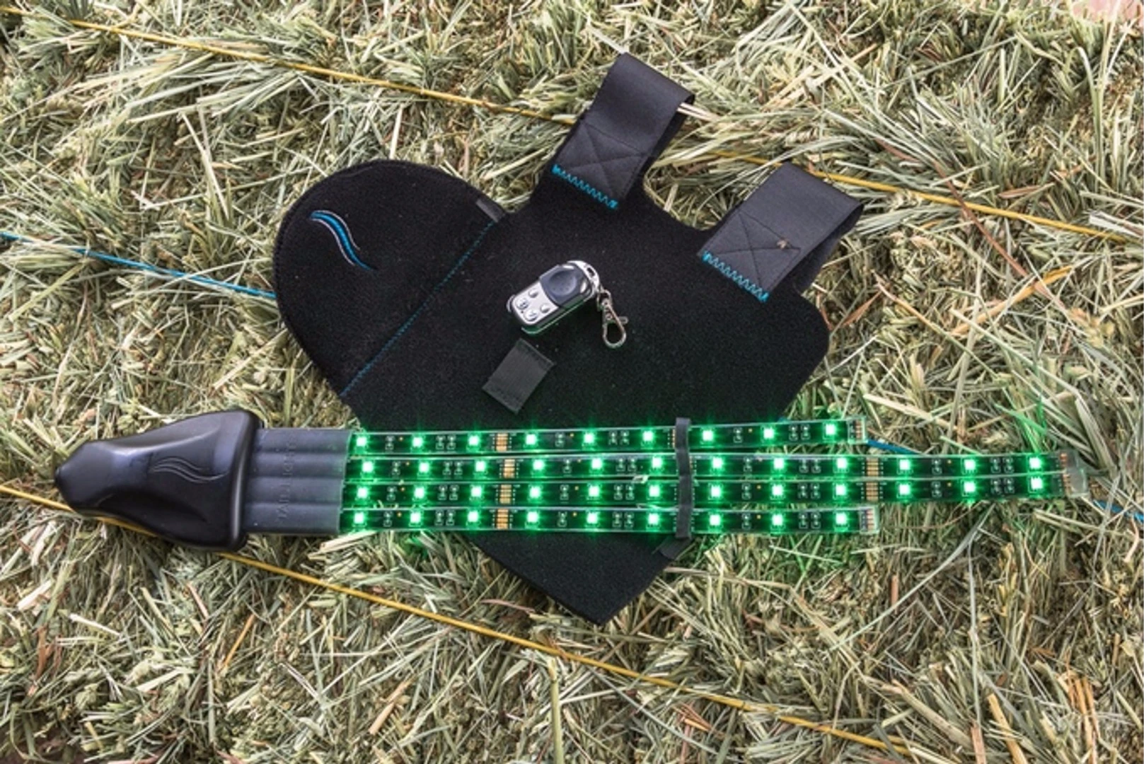 The Tail Lights System set for green