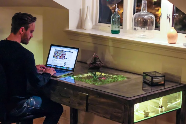 Daniel Zellor using his laptop on Terrarium Desk (Photo: Daniel Zeller)