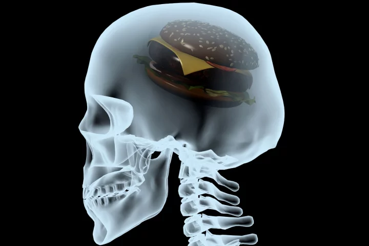 A new study demonstrates how fatty acids can enter the brain and disrupt signaling pathways that lead to depression
