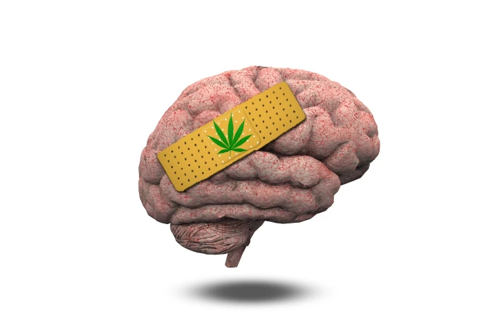 It was discovered in mouse experiments that anti-inflammatory drugs could protect against any potential cognitive damage from THC administered at a young age