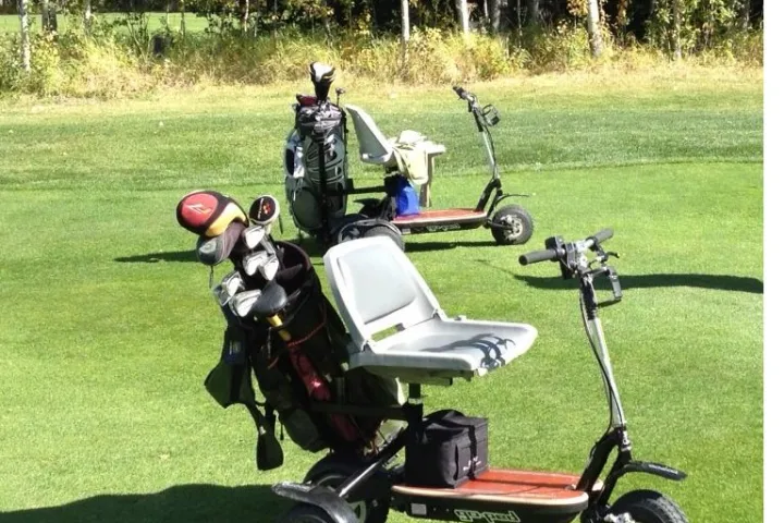The GoCaddy in its native habitat