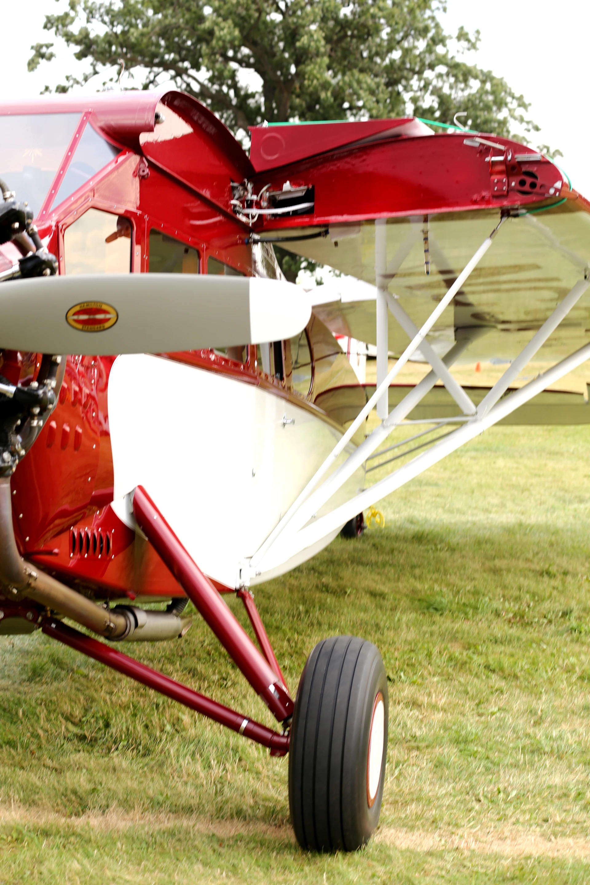Early folding wing design (Photo: Angus MacKenzie/Gizmag.com)