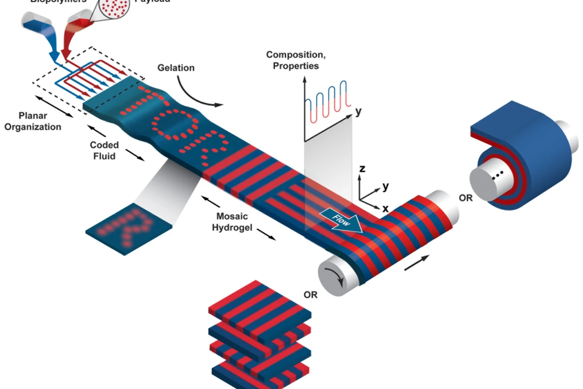 A diagram of the tissue-producing device