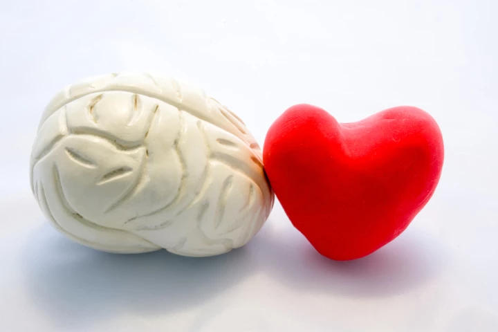 Researchers have found that the vagus nerve has more of an effect on heart function during exercise than we thought