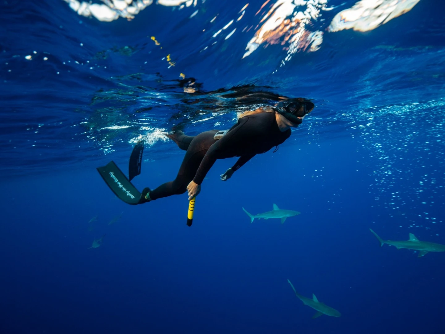 The eSpear can be carried while swimming, or put in an optional thigh holster