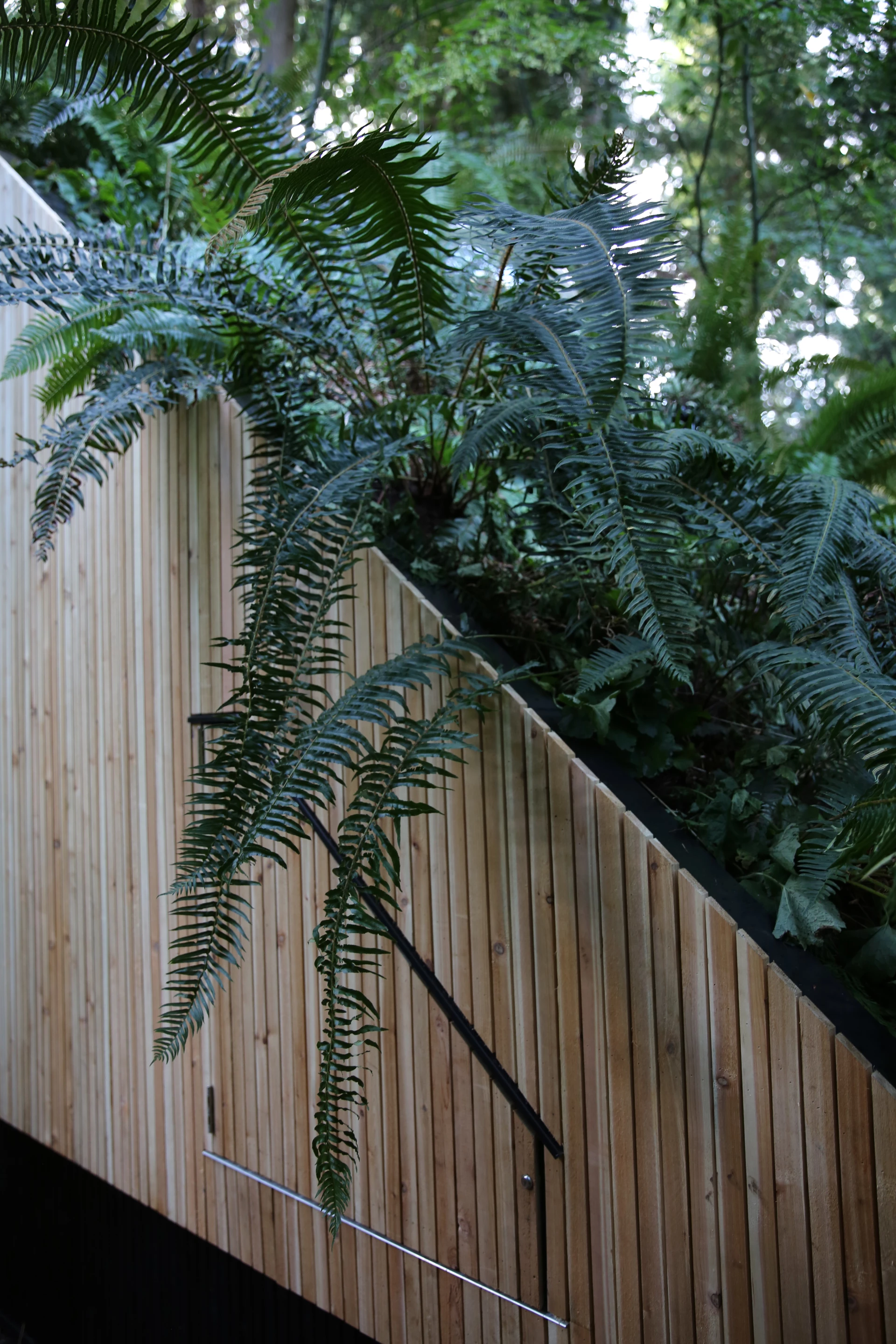 Plants on the rooftop help keep the MycoToilet cool