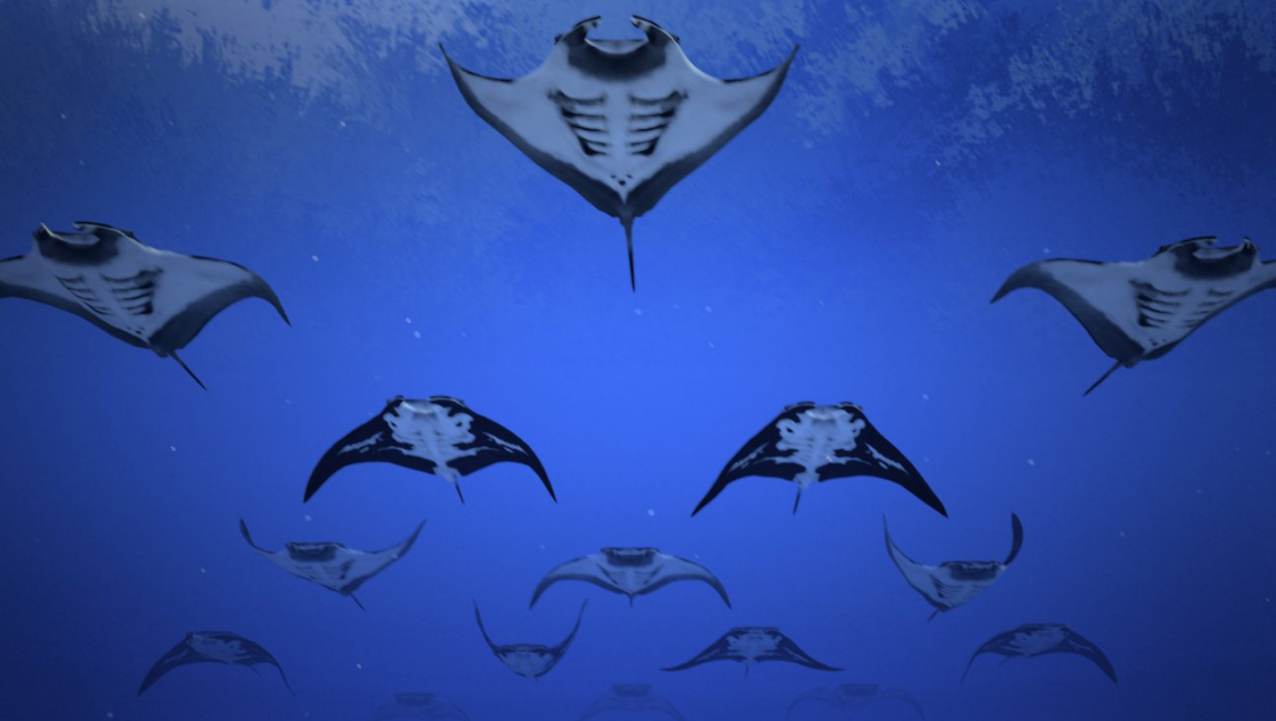 theBluVR