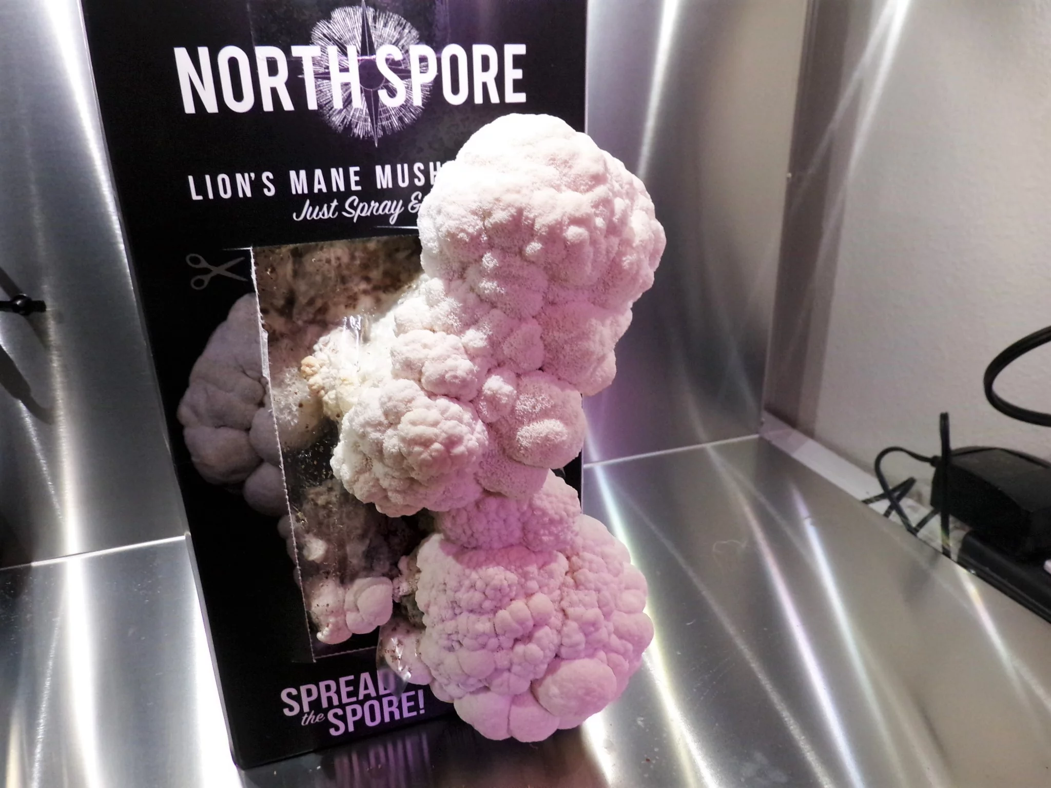 Controlled conditions in the chambers produces better yields