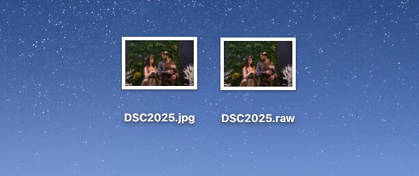 There are a number of different RAW file formats used by different camera manufacturers