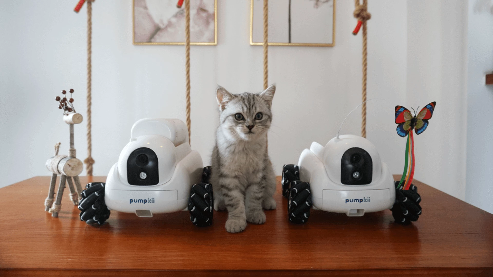 Pumpkii features interchangeable modules that perform different functions