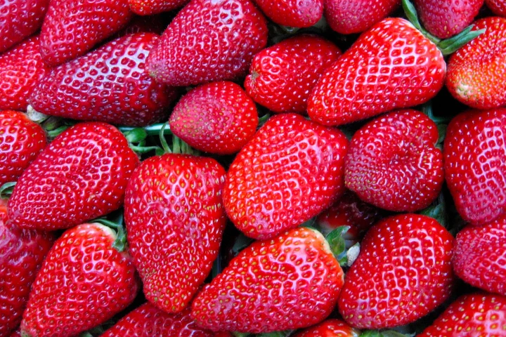 Fruit treated with the coating retains moisture longer, and ripens slower