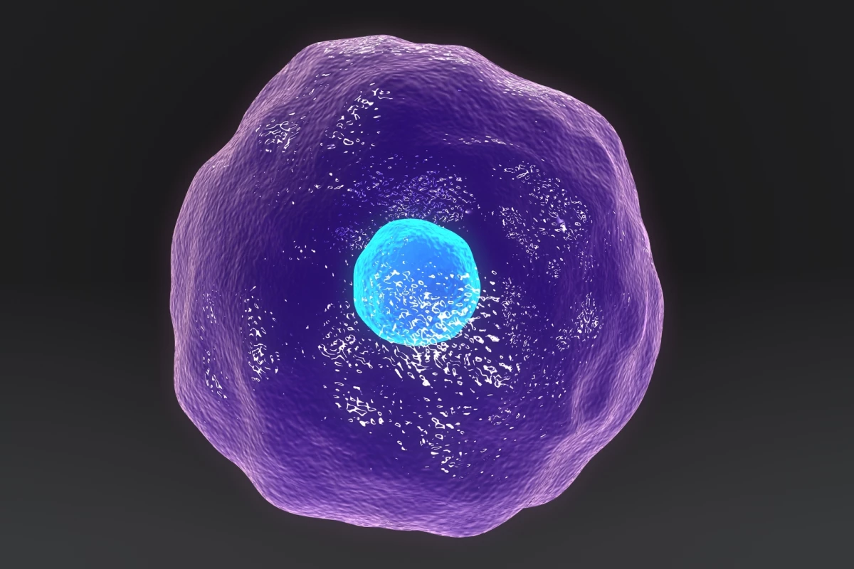 CAR T cell therapy involves removing T cells from the body and supercharging them against a target like cancer or now, potentilly, fungal infection