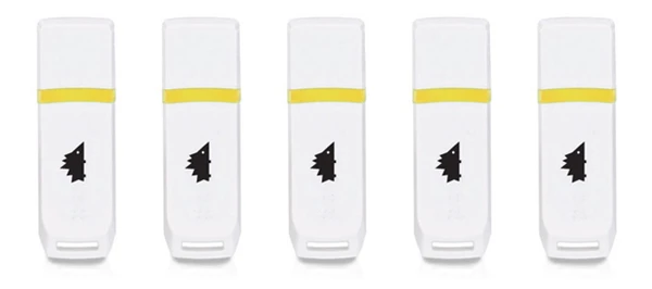 The USB drive onto which Keepod is loaded would need to have at least 8 GB of available storage space