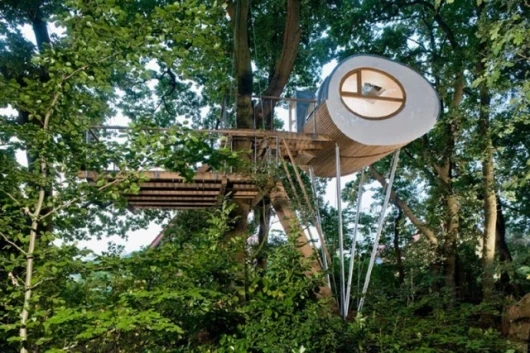 treehouse djuren sits amidst Oak trees