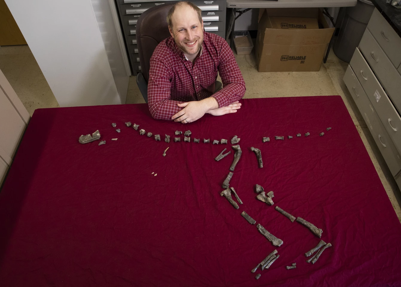 Lead researcher Sterling Nesbitt with the fossilized bones of S. hazelae