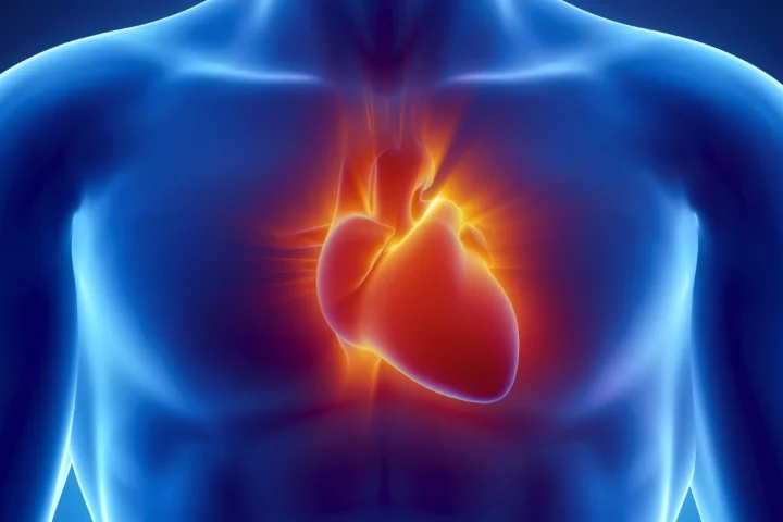 Researchers have developed a new CRISPR technique that can correct defects in heart tissue caused by DMD