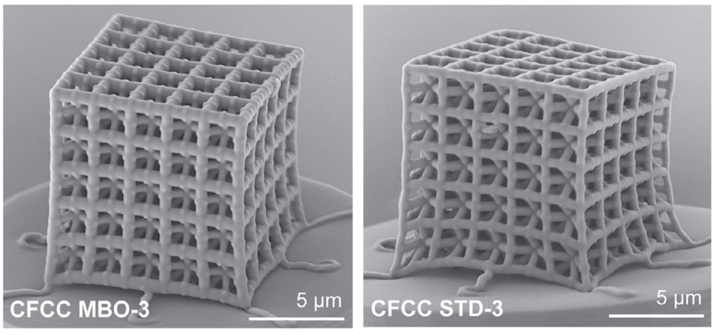 Close-ups of the nanomaterial lattic designs from a field emission scanning electron microscope