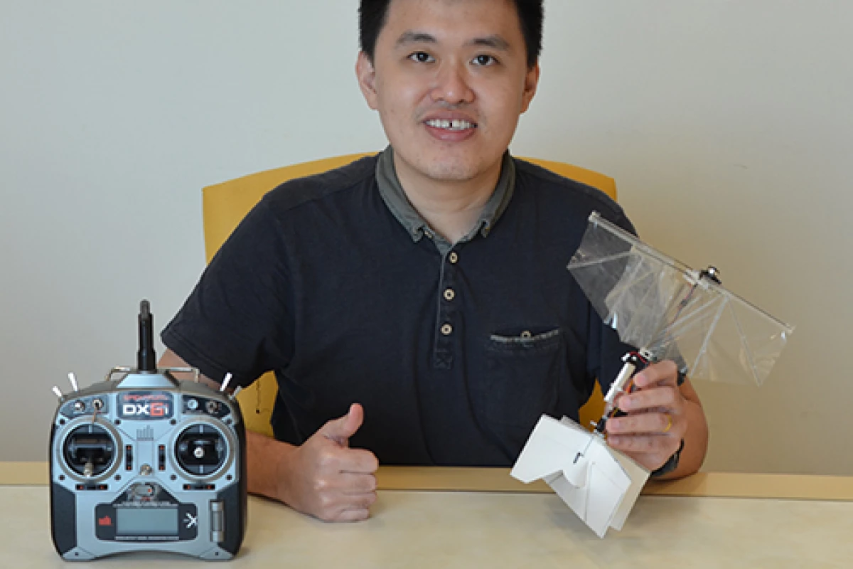 Study author Dr Yao-Wei Chin with the new swift-inspired flapping wing drone prototype