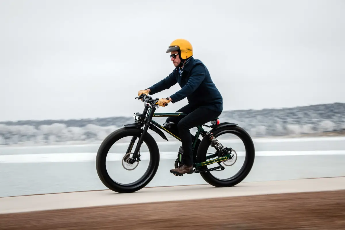 electric bicycle 40 mph Spark 20x4.0" Moped-Style E-Bike Make quick work of the daily errands Eahora 2500W Romeo II 40