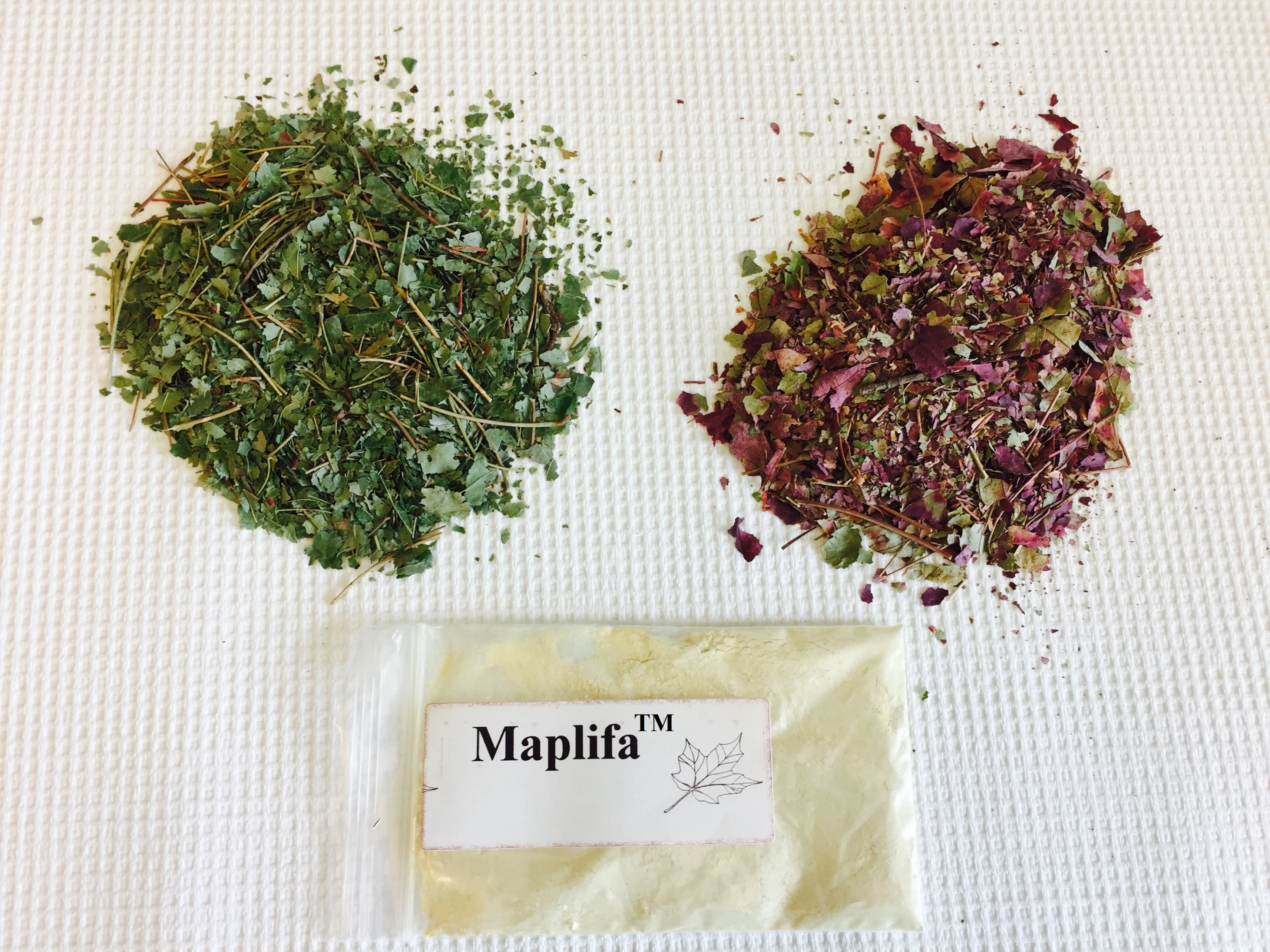 Extracts from summer or fall red maple leaves have been formulated into a powder that could be incorporated in skincare products to prevent wrinkles