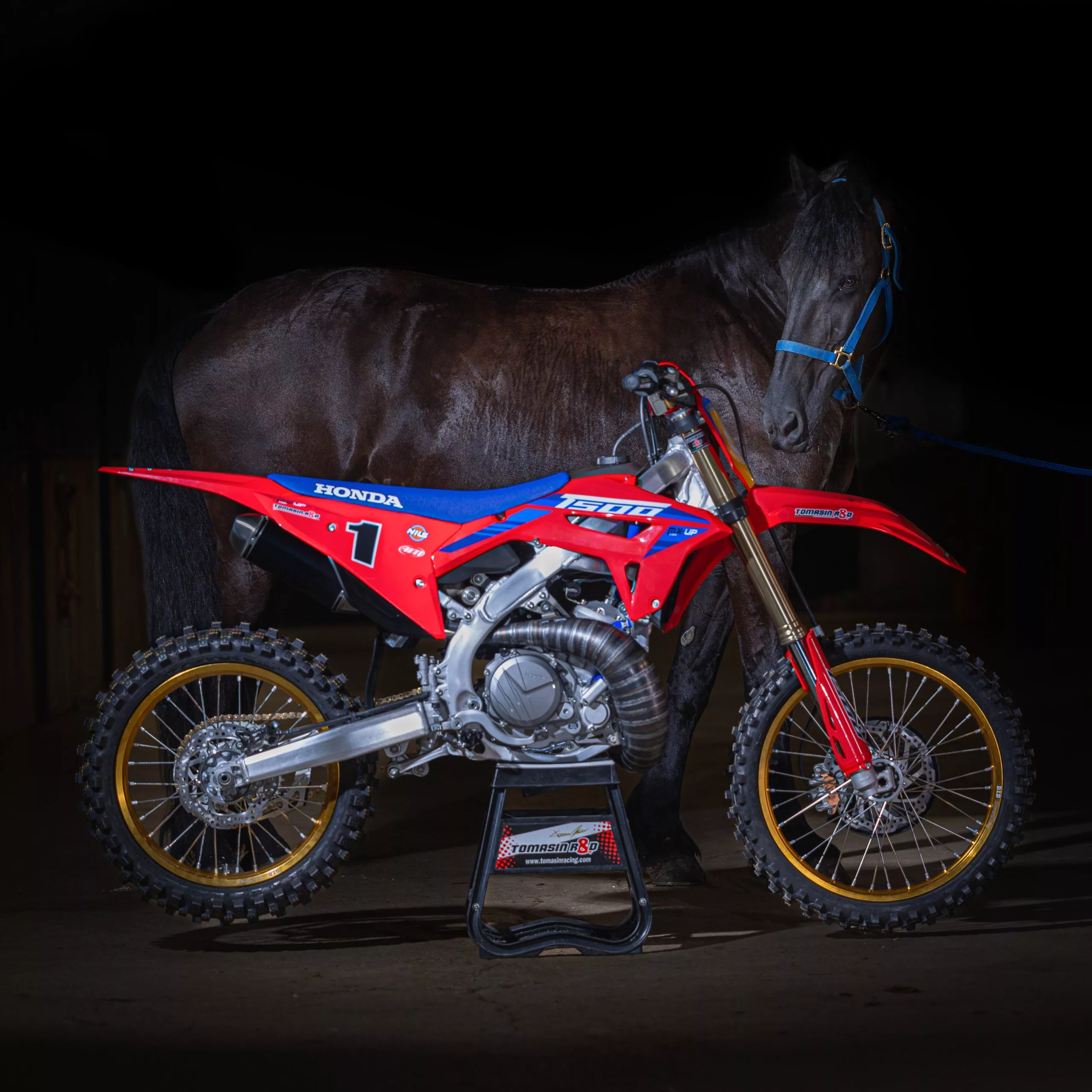 Here's a 2-stroke T500-kitted CRF450 being examined by a horsie. Shhhh, don't ask why