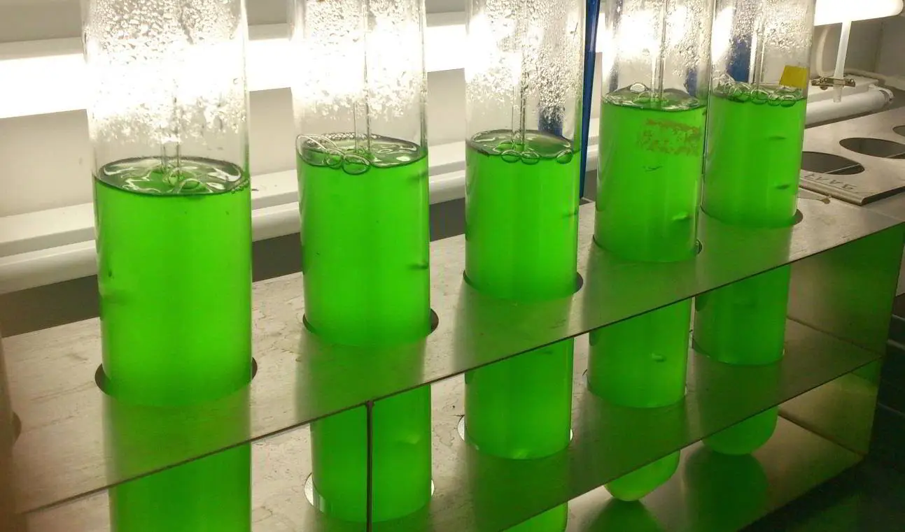 The newly discovered natural molecule could be as effective as Roundup but potentially safe and non-toxic to humans and animals