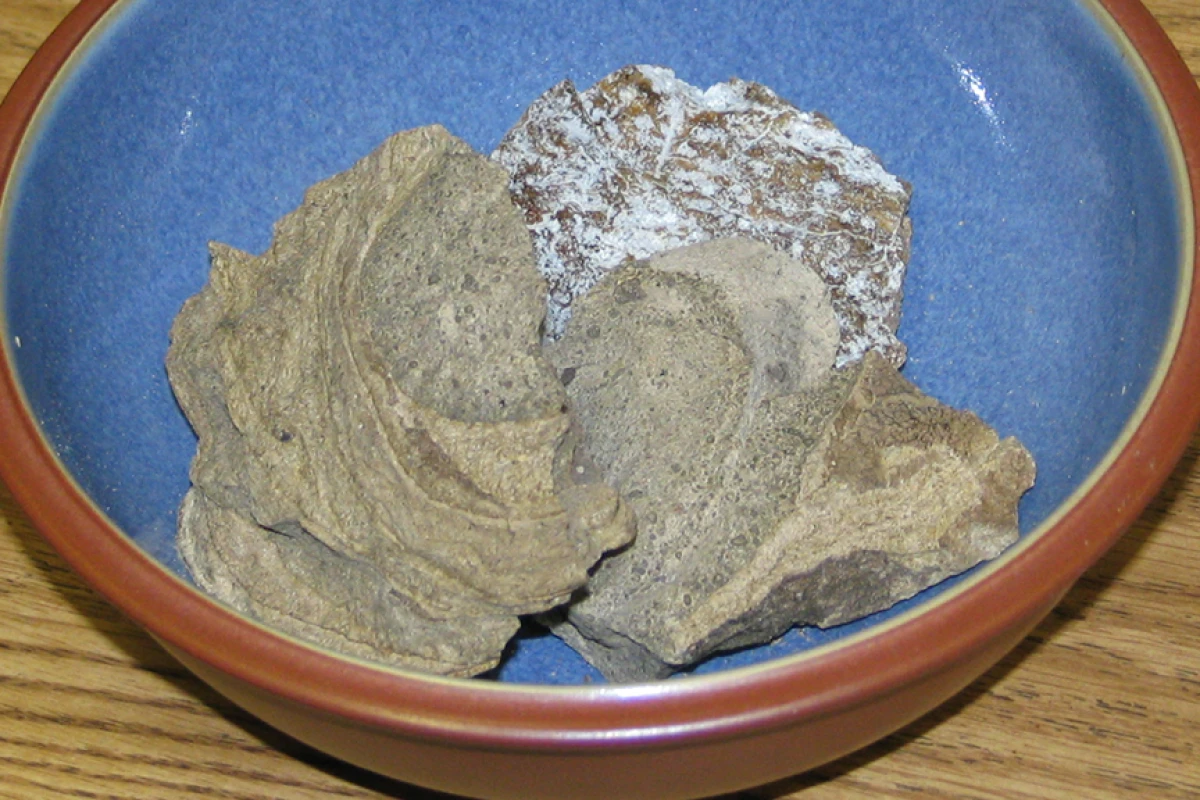 Researchers have found a cost-effective way to produce an alternative to ambergris (Photo: Peter Kaminski via flickr)