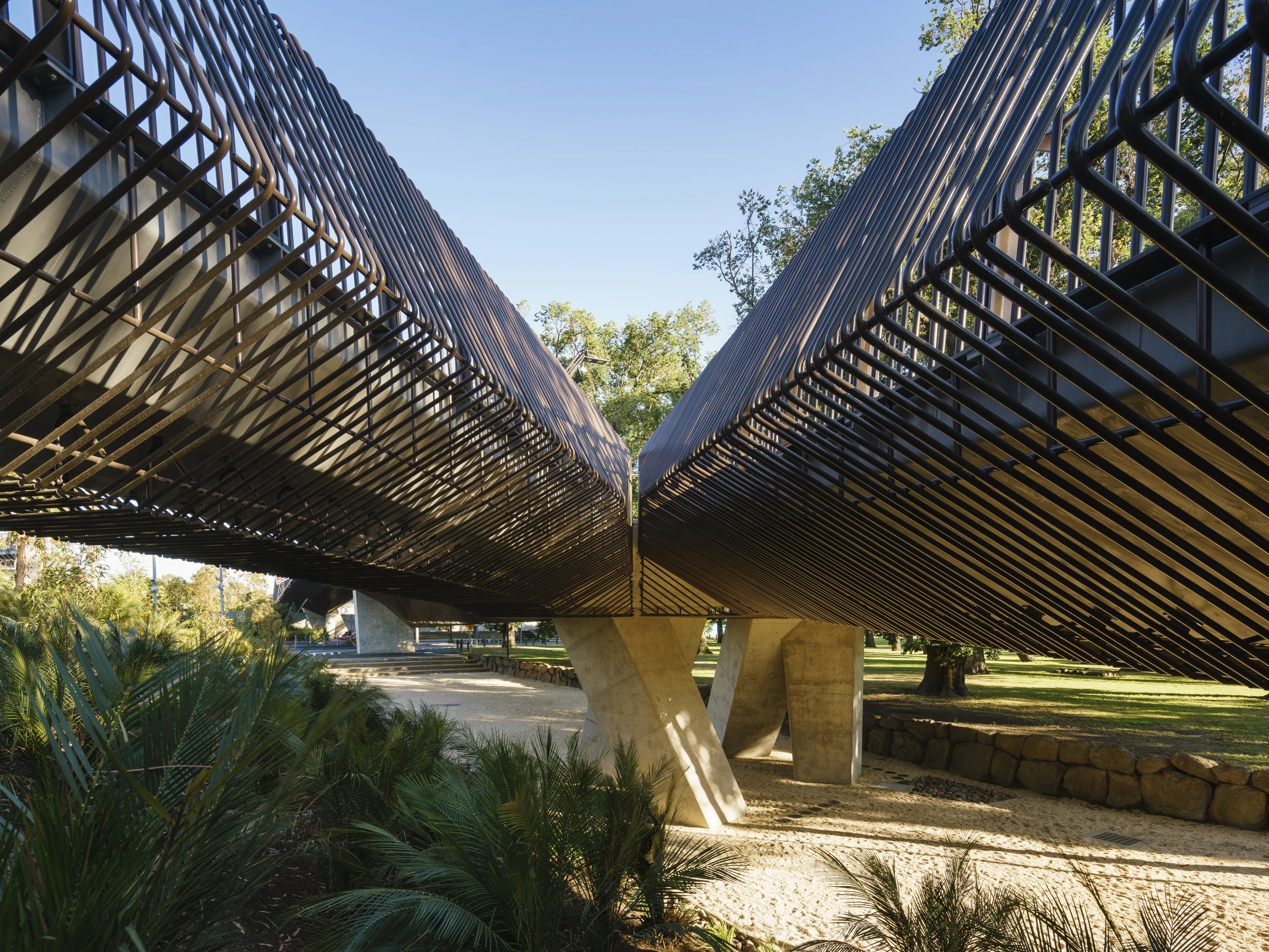 Honors in the Urban Design category of the AIANY 2019 Design Awards: Tanderrum Bridge in Melbourne, Australia by John Wardle Architects and NADAAA