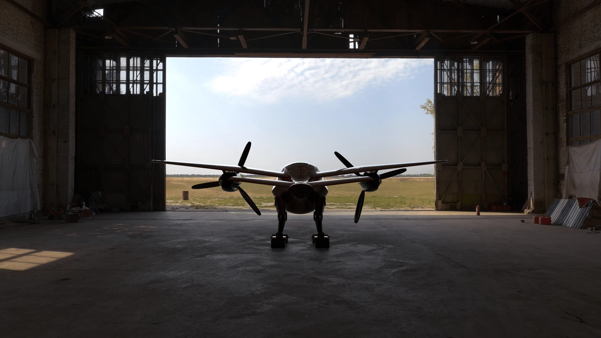 You will need a decent-sized garage for your birdoplane
