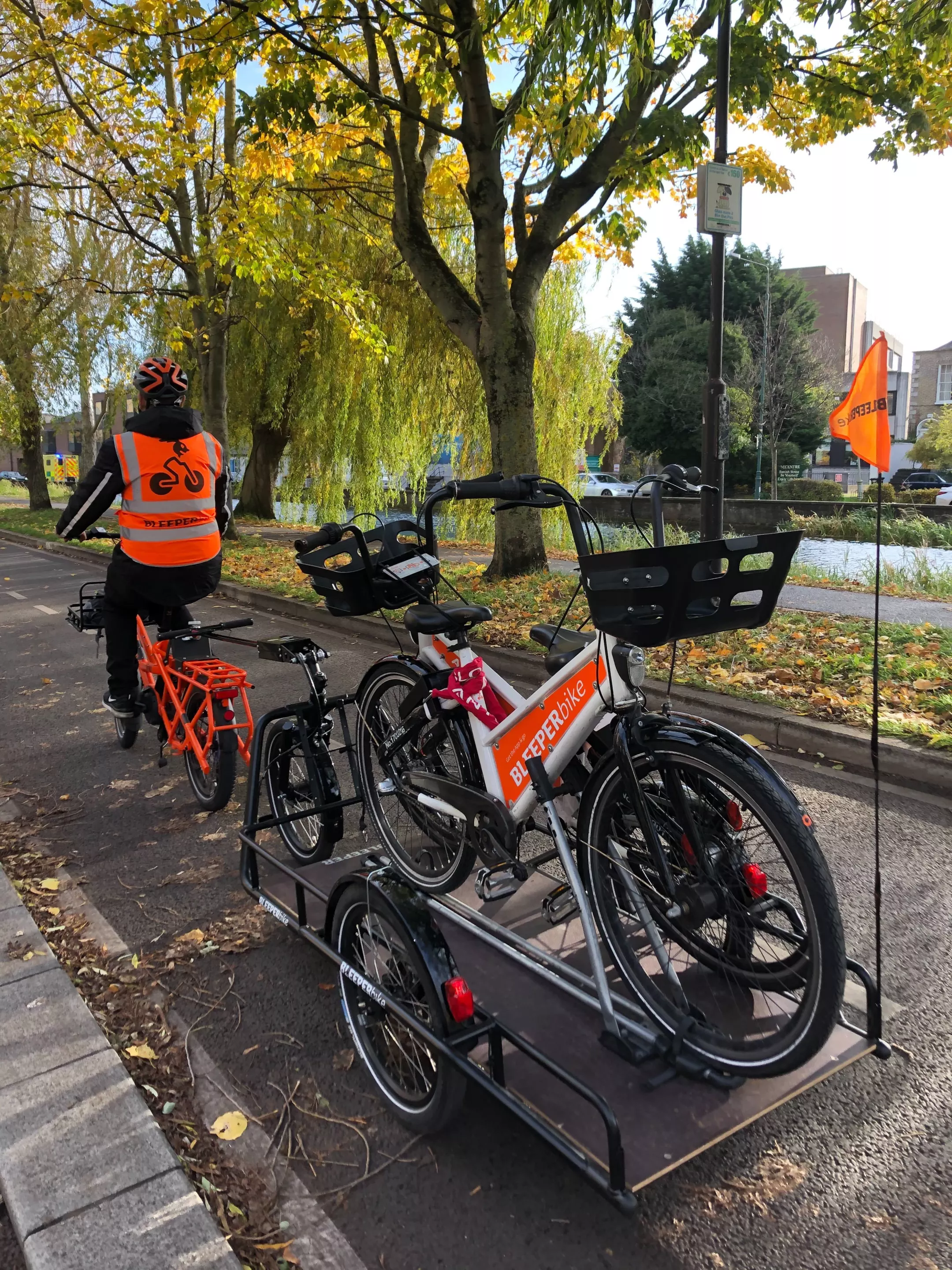 A GSD and Carla trailer haul bikes along the river