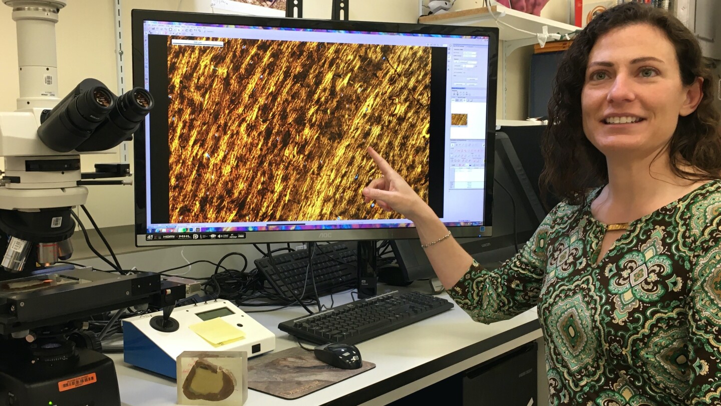Lead scientist Dr. Holly Woodward Ballard examines Jane's bone tissue microstructure