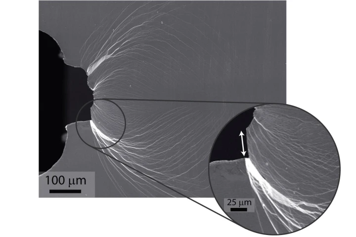 Main image shows extensive plastic shielding of an initially sharp crack. Inset is a magnified view of a shear offset (arrow) developed during plastic sliding before the crack opened. Image: Robert Ritchie and Marios Demetriou