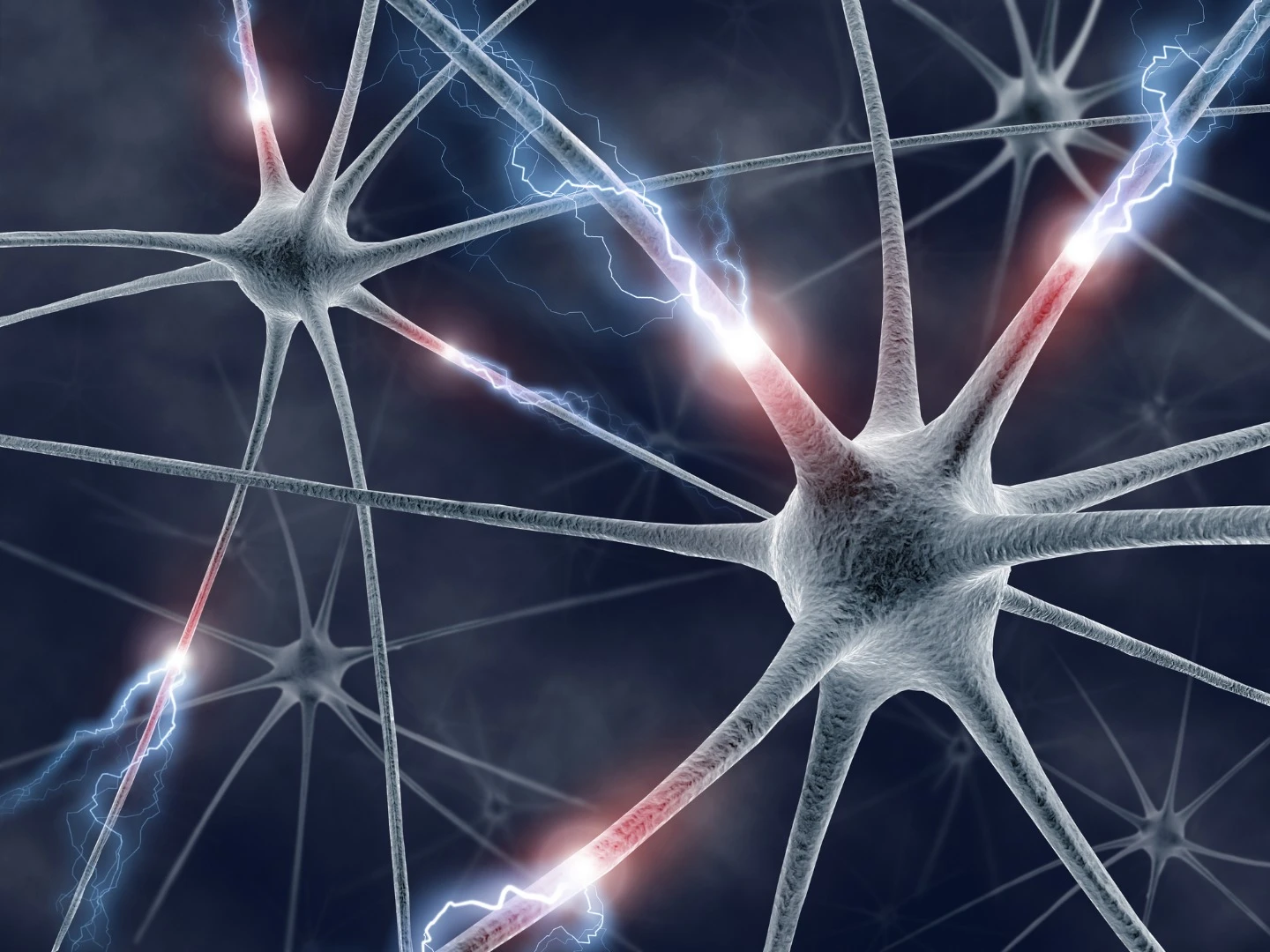 Oxford scientists have observed the electrical signals running through fruit fly brains while they gather evidence to make decisions